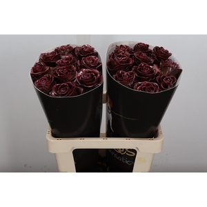 Wax-Rozen Wax Classic Choco