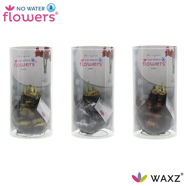 <h4>No Water Flowers® Antiquez Mix in Koker</h4>