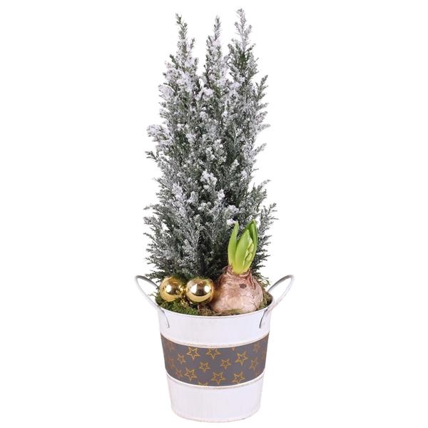 <h4>Christmas Arr. Outdoor Zinc Pot Round Star Design Ø12cm 2PP</h4>
