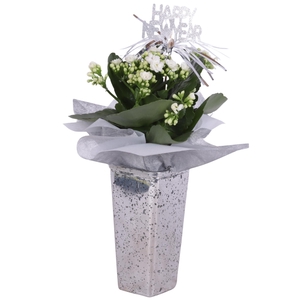 New Year Arr. Indoor Glass Vase Square Silver Ø09cm 1PP