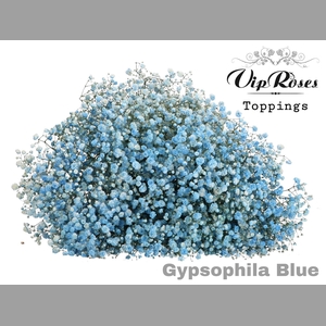 GYPS PA BLUE
