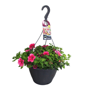 Hangpotten 37 cm met waterreservoir Mix 07 Good Night mix