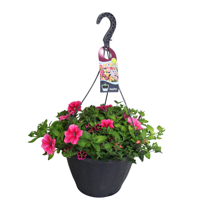 <h4>Hangpotten 37 cm met waterreservoir Mix 07 Good Night mix</h4>