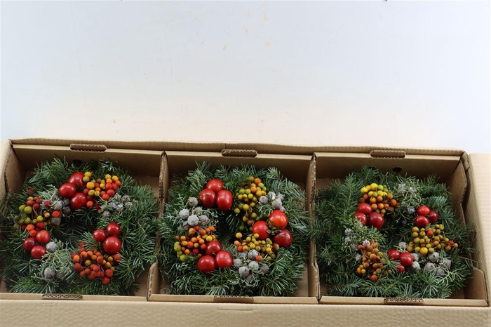 <h4>Wr Sierfruit Advent Christmas 30cm (anttar)</h4>