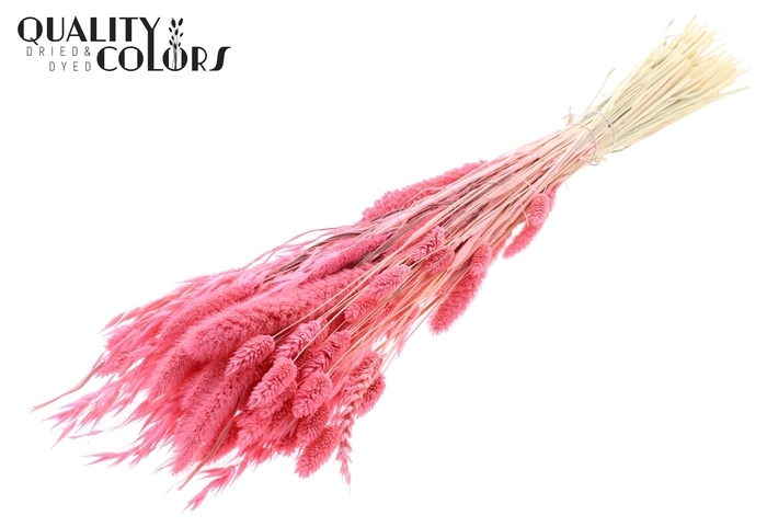 <h4>Dried Flower Mix bunch Bleached Frosted Pink</h4>