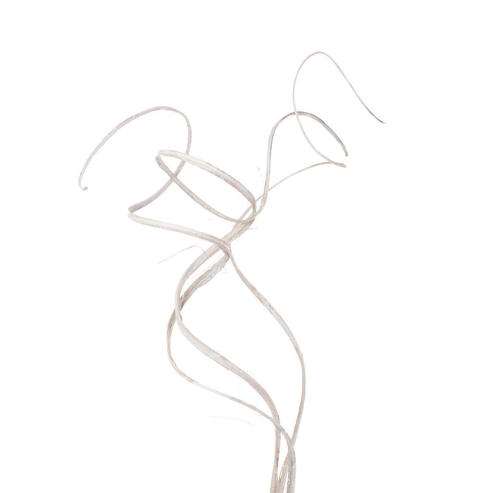 <h4>Curly Ting Ting 3pc Toef White Misty</h4>