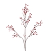 AF Rosehip Corallo Sp L99cm Re