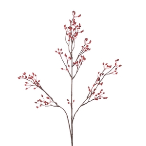 Af Rosehip Corallo Sp L99cm Re