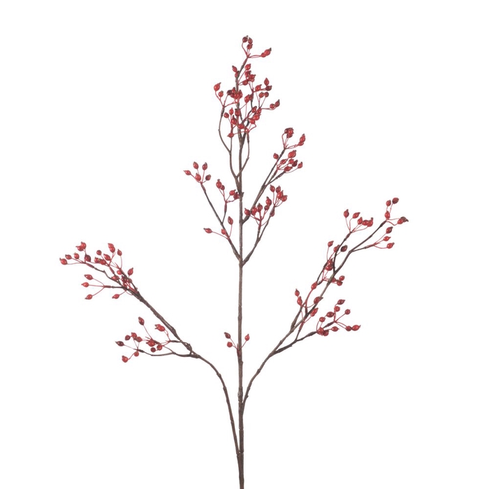 AF Rosehip Corallo Sp L99cm Re