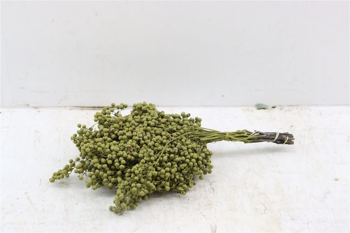 <h4>Schinus M Pt Olijf Groen Bunch</h4>