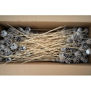 Pick pinecone d.5-6cm+50cm stick tipped