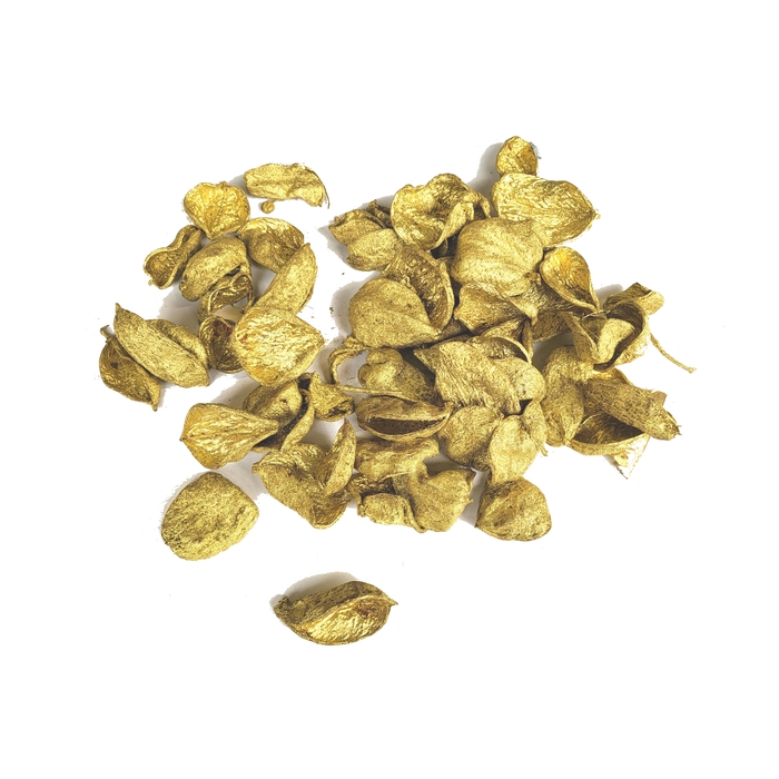 <h4>Land lotus petal 500gr in poly Gold</h4>