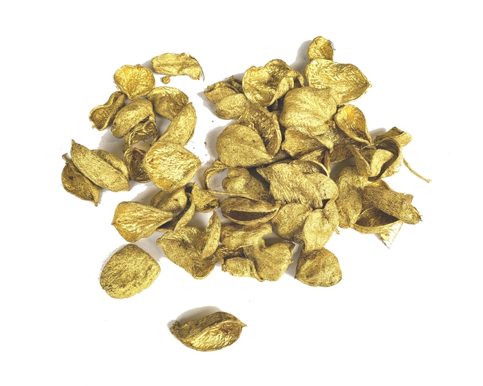 Land lotus petal 500gr in poly Gold