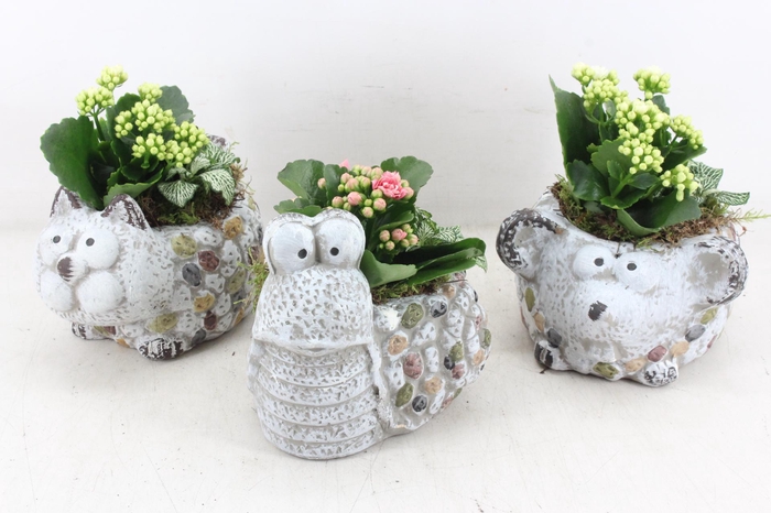 <h4>arr2 TD - Dierenmix - roze/wit</h4>