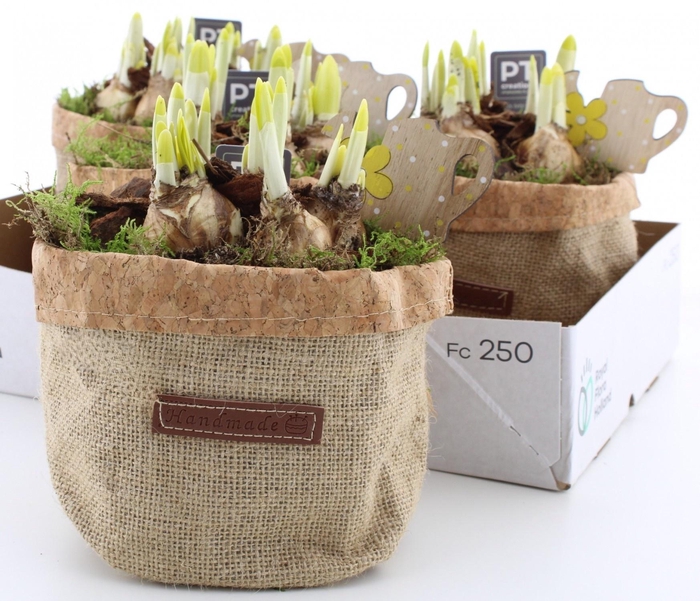 <h4>ARR N TETE A TETE</h4>