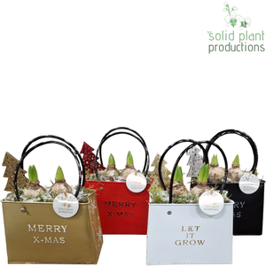 ZKH001 Zinc Bag X-Mas Hyacint Mix