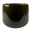 VASO BRETAGNE MUSGO D15 A13 IMP