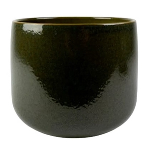 VASO BRETAGNE MUSGO D19 A15 IMP