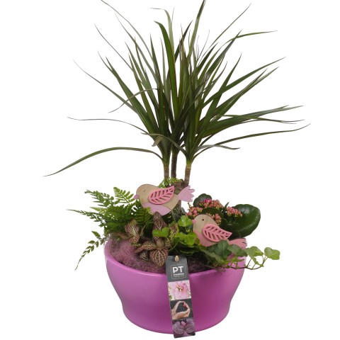 <h4>PTIB6305 Arrangement Indoor in keramiek schaal</h4>