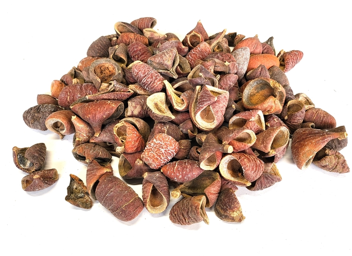 Lansunia petal 500gr in poly Natural