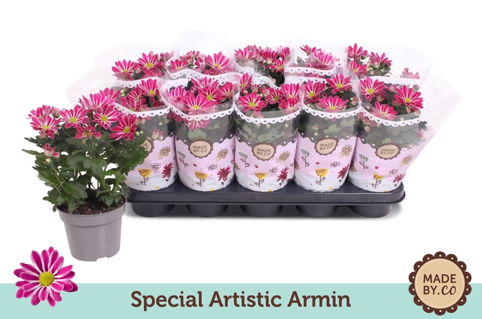 <h4>Chrysanthemum Surprising Artist Pin</h4>