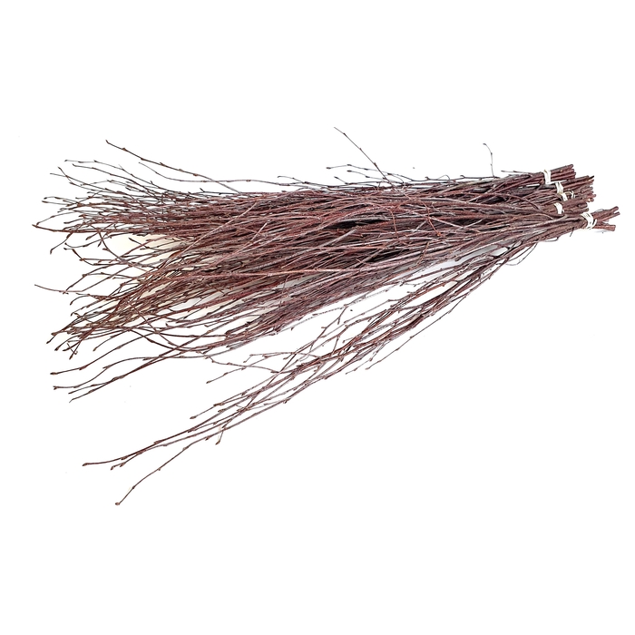 <h4>Birch 70cm 10stems per bunch Natural</h4>