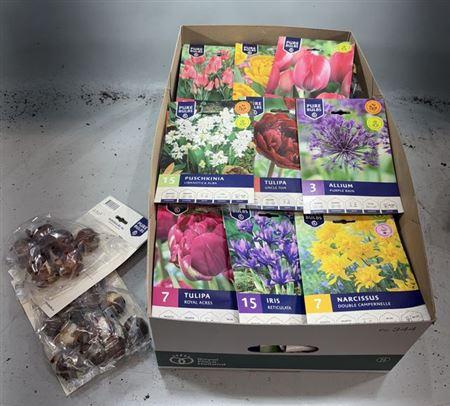 <h4>Bloembol Ov</h4>