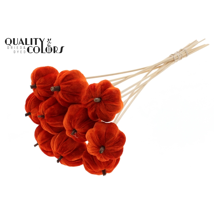 <h4>Velvet Pumpkin Ø6cm on stem Orange</h4>