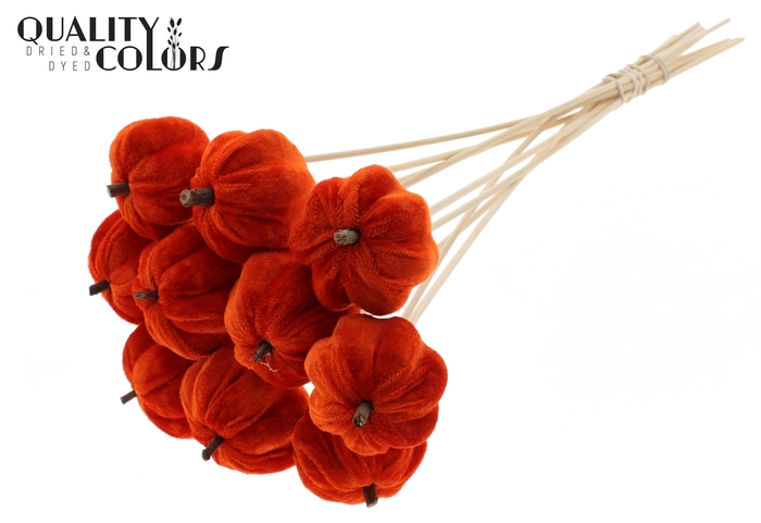 Velvet Pumpkin Ø6cm on stem Orange