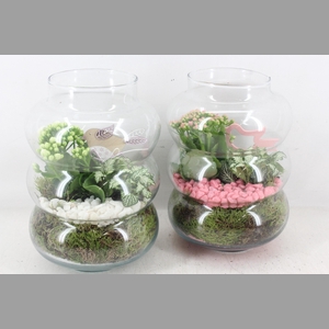 arr2 PL - Glas ringvaas - roze/wit