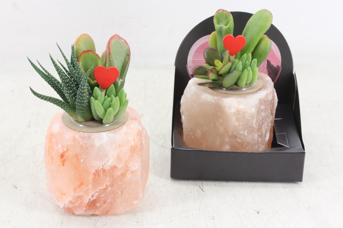 <h4>arr3 AD - Salt crystal x6</h4>