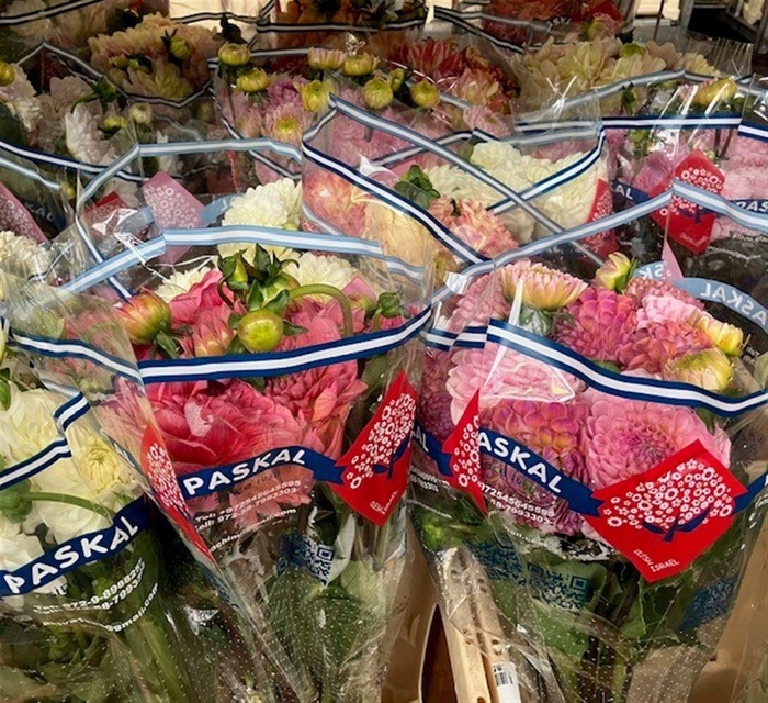 <h4>DAHL GEM IN FUST</h4>