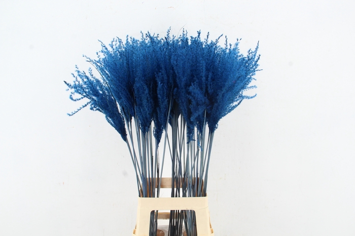 <h4>DF Miscanthus 90cm Blue</h4>