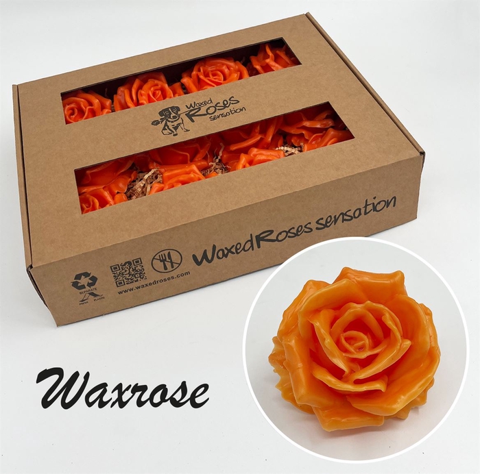 <h4>Zijde R Wx Oranje</h4>