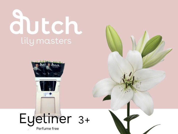 <h4>LI LA EYELINER# 3+</h4>