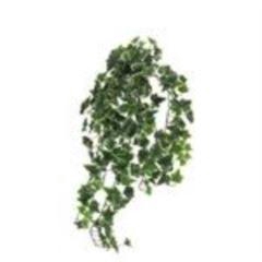 <h4>Ivy Chicago hanger XL variegated 10</h4>