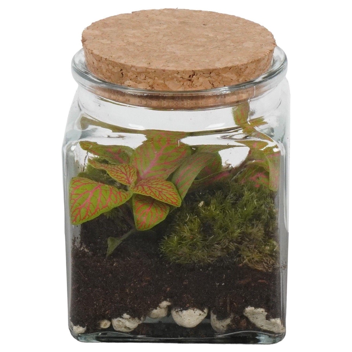 <h4>PTGIG2166 Arrangement Greens in glass in glazen terrarium</h4>