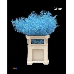 Limonium Light Blue + Glitter Bio