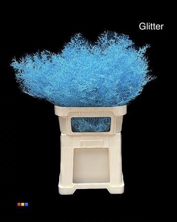 <h4>Limonium Light Blue + Glitter Bio</h4>