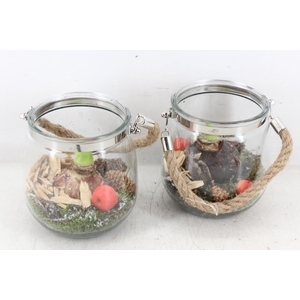 arr4 Amaryllis PL - Glas regla rope 813/3