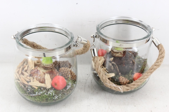 <h4>arr4 Amaryllis PL - Glas regla rope 813/3</h4>