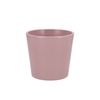 Ceramic Rosa Stone Pot Orchid 14cm