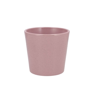 Ceramic Rosa Stone Pot Orchid 14cm