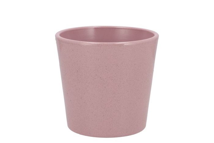 Ceramic Rosa Stone Pot Orchid 14cm