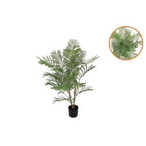 Silk Albizia Julibrissin Umbrella Plant Green 97cm