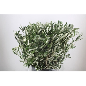 Olijf 400gr P Bunch