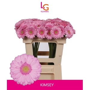 Germini Kimsey Water