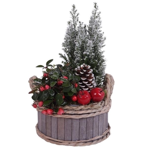 Winter Arr. Outdoor Wooden Pot Waterhyacint Rim Ø19cm 2PP