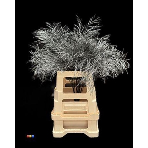 Treefern Metallic Black