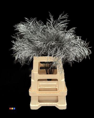 <h4>Treefern Metallic Black</h4>